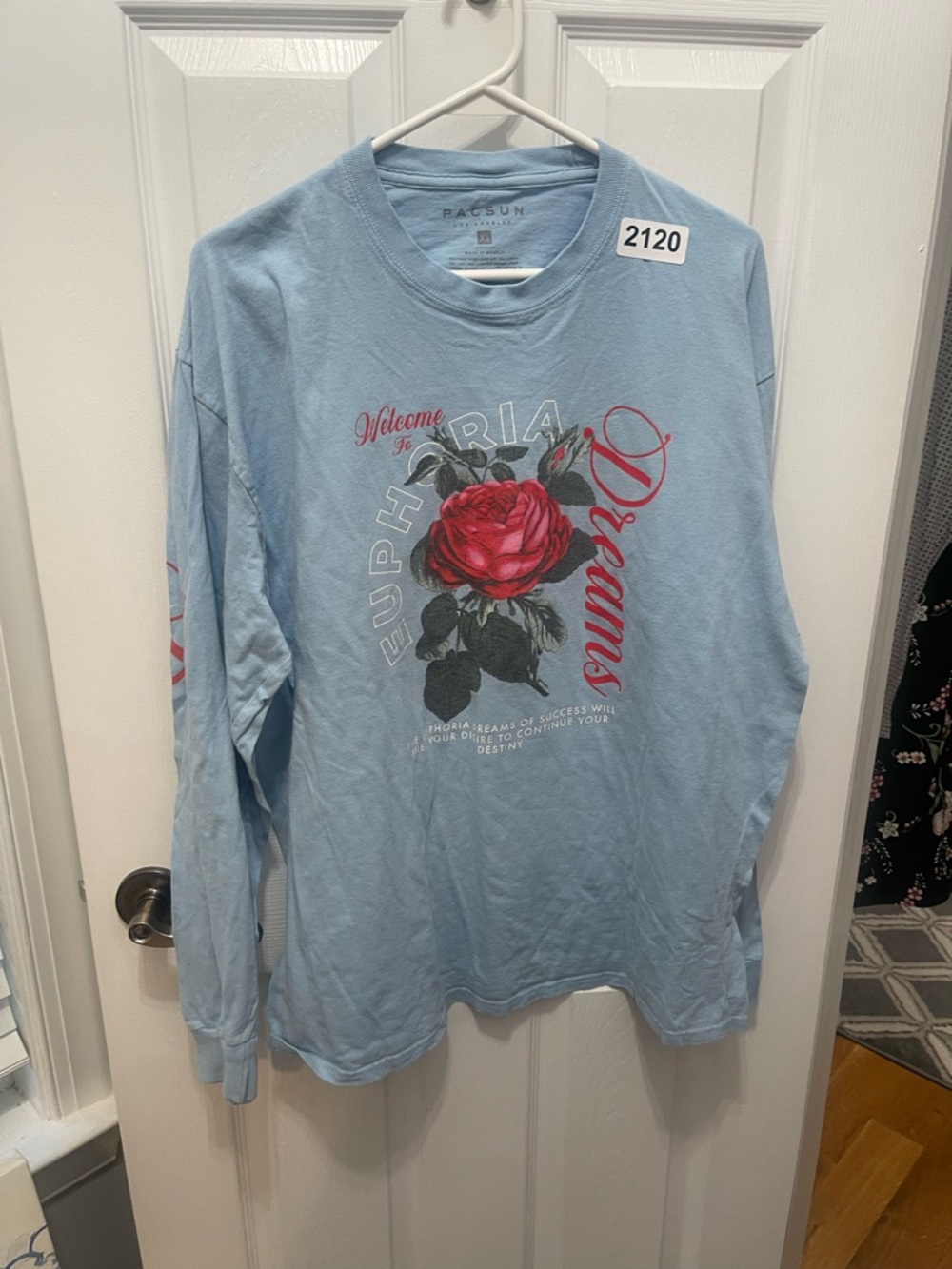 PacSun Light Blue Long Sleeve Tee with Red Rose Graphic